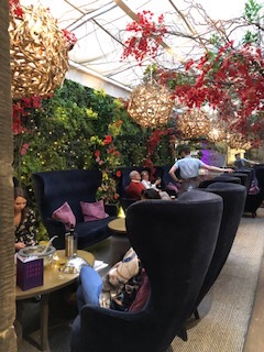 Photo Edinburgh Tigerlilly 2